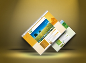 Due nuovi progetti online